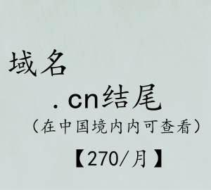 .cn结尾(中国境内可查看)