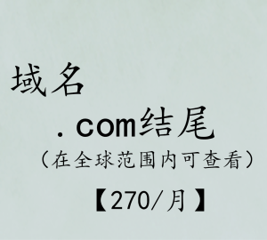 .com结尾(在全球范围可查看)