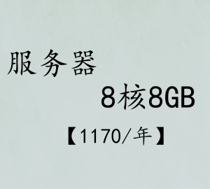 8核8GB