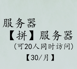 【拼】服务器(可20人同时访问)